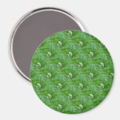 Kleine kikkers.. magneet (Voorkant / Achterkant)