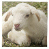 Kleine kind stuiten tegeltje (Voorkant)