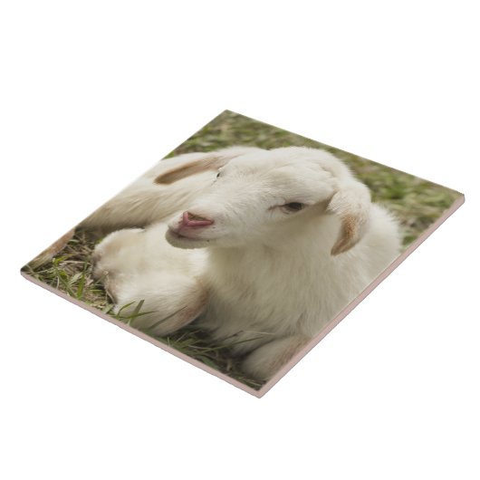 Kleine kind stuiten tegeltje (Zijkant)