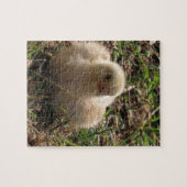 kleine kip , boerderij legpuzzel (Horizontaal)