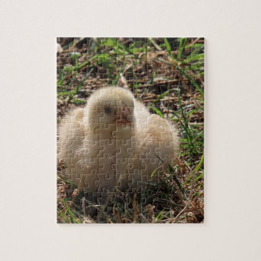 kleine kip , boerderij legpuzzel (Verticaal)