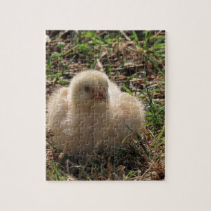kleine kip kuiken dier, boerderij legpuzzel