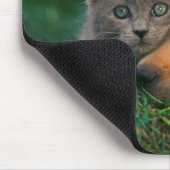 Kleine Kitten en puppy's samenvoegen Muismat (Hoek)