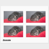 Kleine kitten rechthoekige sticker (Vel)