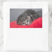 Kleine kitten rechthoekige sticker (Tas)