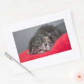 Kleine kitten rechthoekige sticker (Envelop)