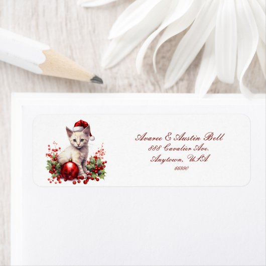 Kleine Kittens gekleed voor Kerstmis Etiket (Insitu)