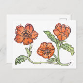 Kleine klaproos ansichtkaart briefkaart (Voorkant / Achterkant)