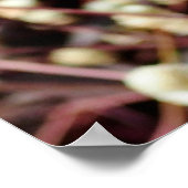 Kleine kleine kleine kogelvormige wilde witte stru poster (Hoek)