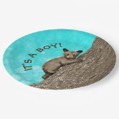 Kleine klimboom op Beer Papieren Bordje (Gekanteld)