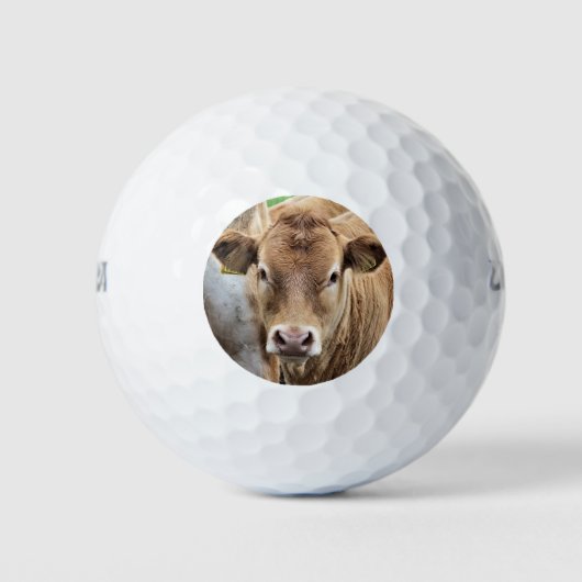 KLEINE KOE GOLFBALLEN (Voorkant)
