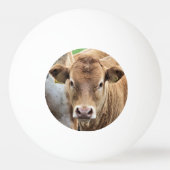 KLEINE KOE PINGPONGBAL (Voorkant)