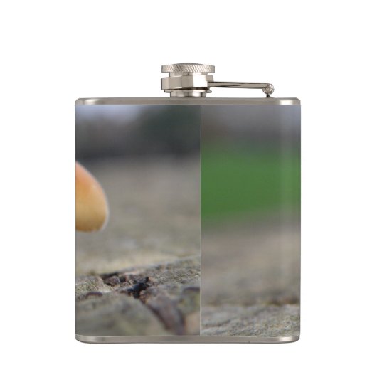 Kleine kolf van Toadstools Heupfles (Achterkant)