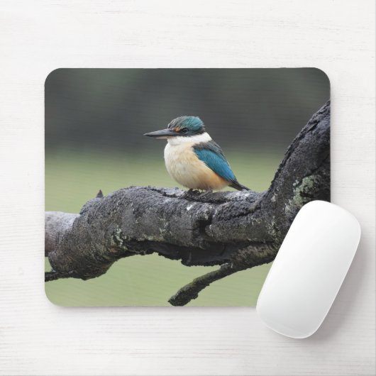 Kleine Kookaburra Vogel Muismat (Met muis)