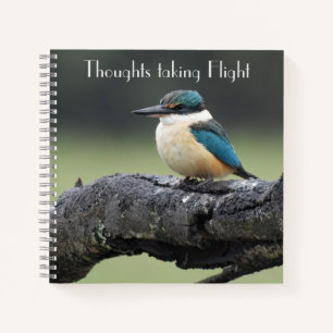 Kleine Kookaburra Vogel Notitieboek