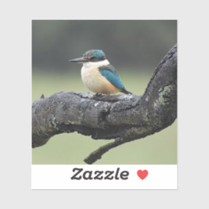 Kleine Kookaburra Vogel Sticker