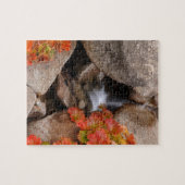 Kleine kreek in de herfst, Californië Legpuzzel (Horizontaal)