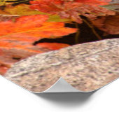 Kleine kreek in de herfst, Californië Poster (Hoek)