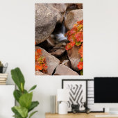 Kleine kreek in de herfst, Californië Poster (Thuiskantoor)