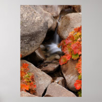 Kleine kreek in de herfst, Californië