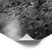 "Kleine kruisers" Foto Afdruk (Hoek)