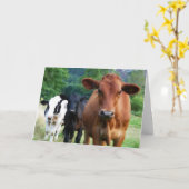 Kleine kudde van drie Koeien Kaart (Gele Bloem)