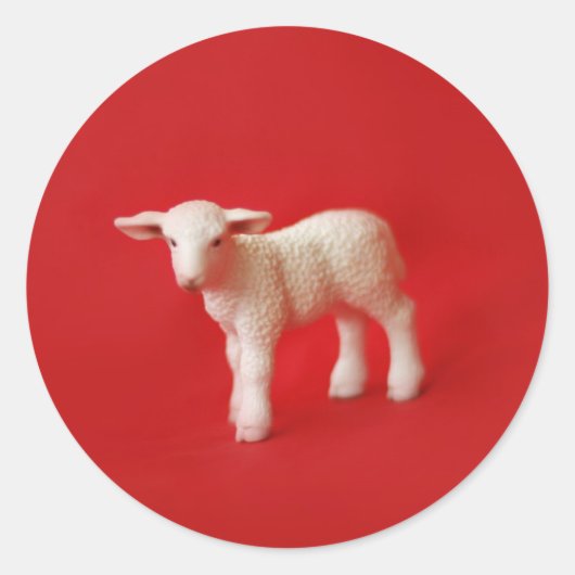 Kleine Lamb Stickers (Voorkant)