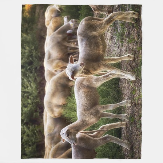 KLEINE LAMMETJES FLEECE DEKEN (Voorkant)