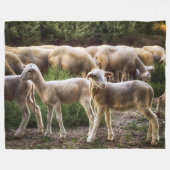 KLEINE LAMMETJES FLEECE DEKEN (Voorkant (Horizontaal))