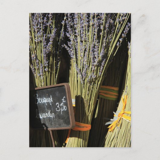 Kleine lavenblikjes briefkaart (Voorkant)