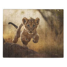 Kleine leaplak Acryl