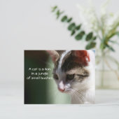 Kleine leeuw briefkaart (Staand voorkant)