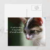 Kleine leeuw briefkaart (Voorkant / Achterkant)