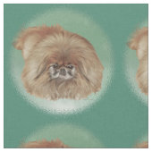 Kleine Leeuwenhond Stof (Close Up)