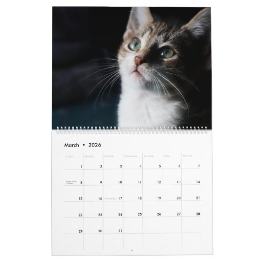 KLEINE LEVENS REDDEN IS HET BESTE KALENDER (Mar 2026)