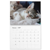 KLEINE LEVENS REDDEN IS HET BESTE KALENDER (Feb 2027)
