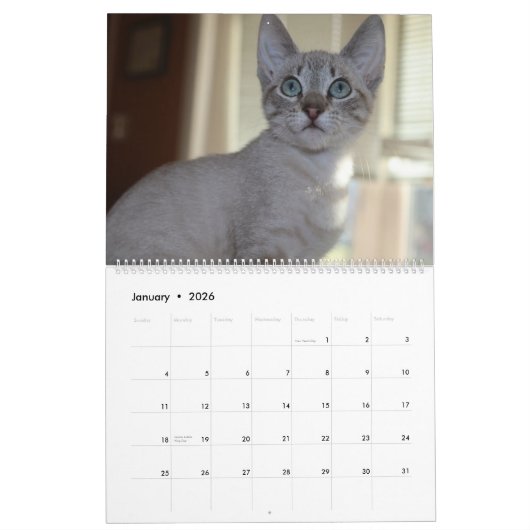 KLEINE LEVENS REDDEN IS HET BESTE KALENDER (Jan 2026)