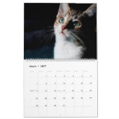 KLEINE LEVENS REDDEN IS HET BESTE KALENDER (Mar 2027)