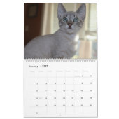 KLEINE LEVENS REDDEN IS HET BESTE KALENDER (Jan 2027)