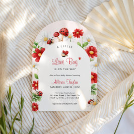 Kleine Liefdeskever Lieveheersbeestje Baby Shower Kaart