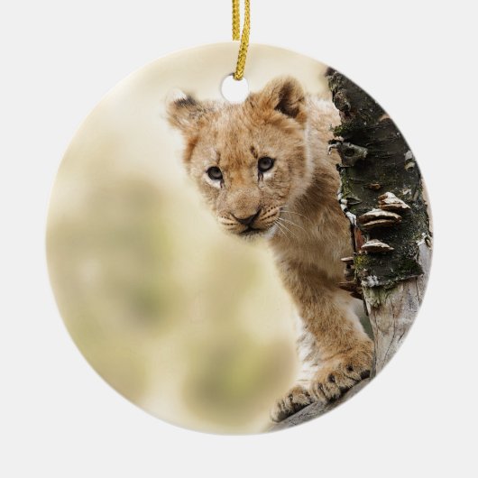 KLEINE LION CUB RANGE KERAMISCH ORNAMENT (Voorkant)