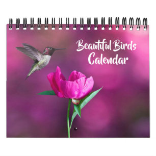 Kleine Maat Mooie Vogels Kalender