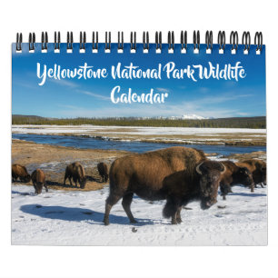 Kleine maat Yellowstone-agenda - Wilde dieren-agen Kalender