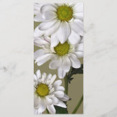 Kleine Madeliefje Omhoog Kijkend Menu (Achterkant)