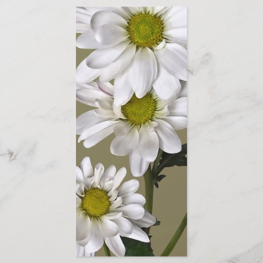 Kleine Madeliefjes Omhoog Kijkend Menu (Achterkant)