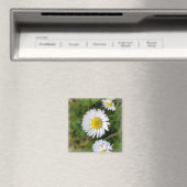 Kleine maffia's magneet (Insitu (Vaatwasser))
