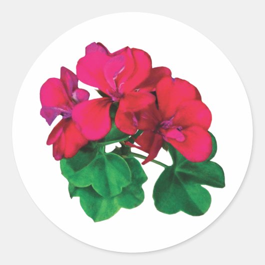 Kleine magenta Geraniums Ronde Sticker (Voorkant)