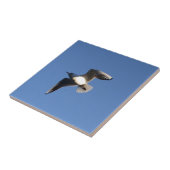 Kleine meeuw tegeltje (Zijkant)