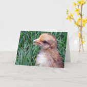 Kleine meid in de gras alle keren kaart (Gele Bloem)