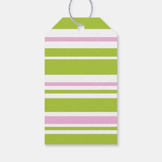 Kleine Meisje Dinosaurus Tutu Roze Groene Verjaard Cadeaulabel (Achterkant)